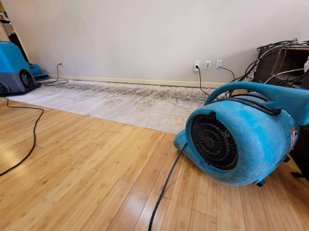 Professional Structural Drying technician working in Saint Cloud, MN